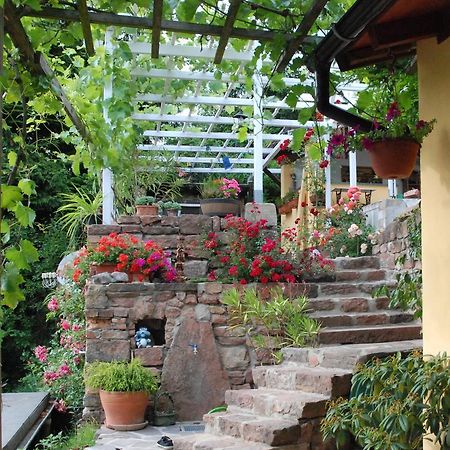Am Berggarten Heidelberg Kültér fotó