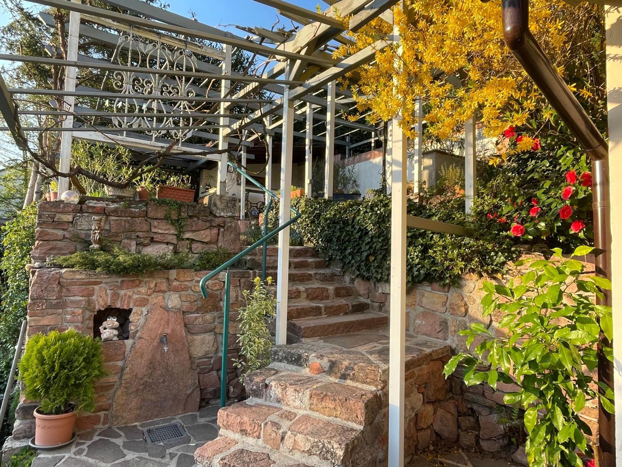 Am Berggarten Heidelberg Kültér fotó