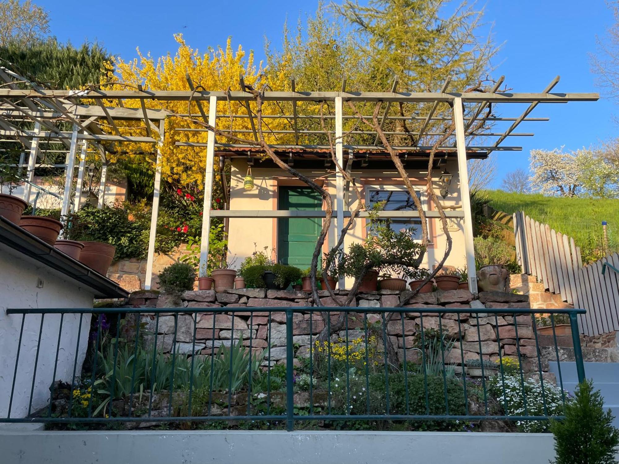 Am Berggarten Heidelberg Kültér fotó