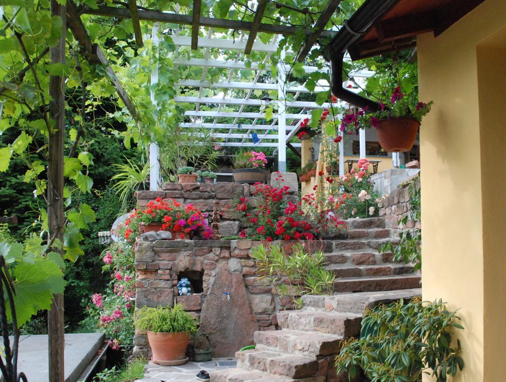 Am Berggarten Heidelberg Kültér fotó