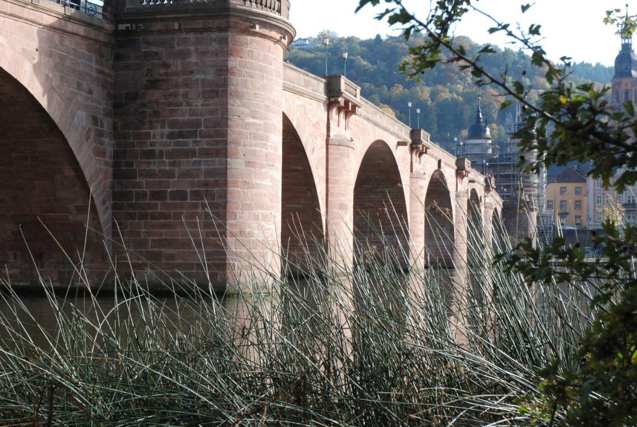 Am Berggarten Heidelberg Kültér fotó