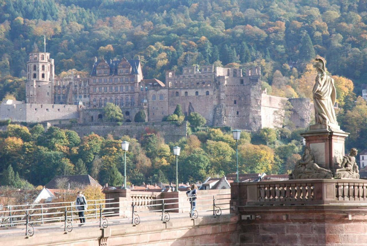 Am Berggarten Heidelberg Kültér fotó