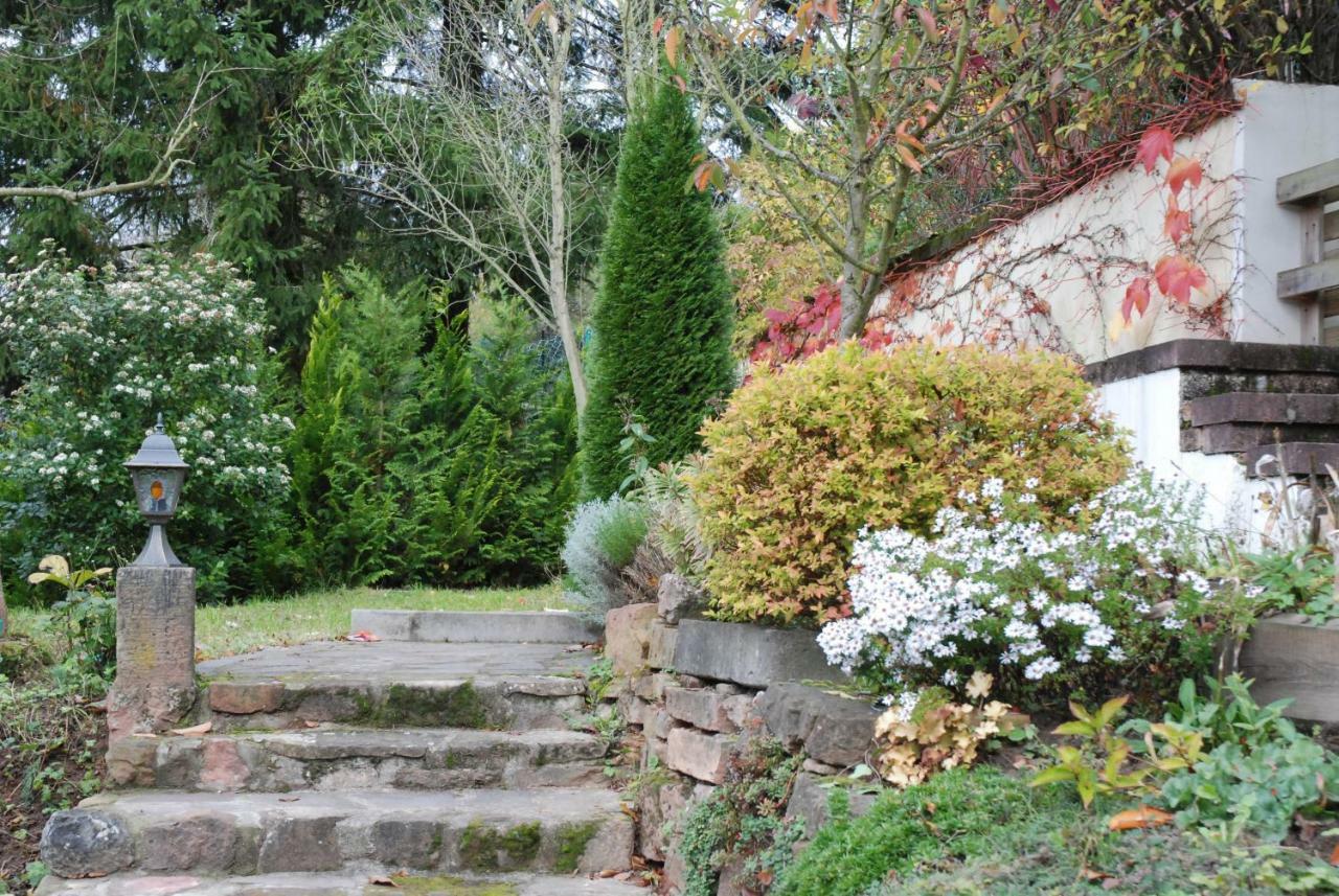 Am Berggarten Heidelberg Kültér fotó